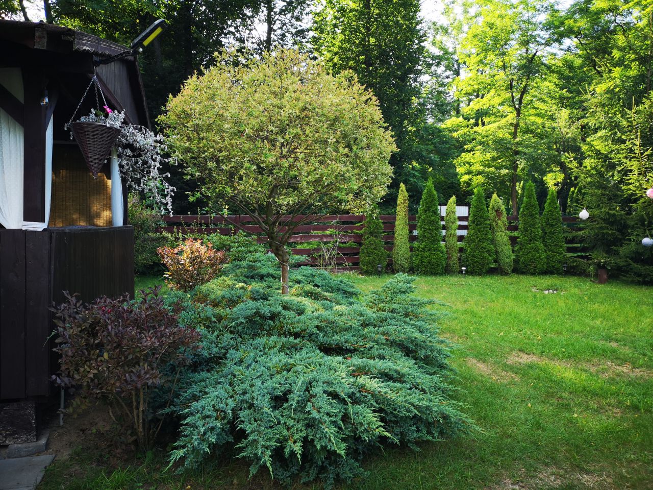 Działka rekreacyjna Przeczyce, ul. 21 Stycznia. Zdjęcie 7