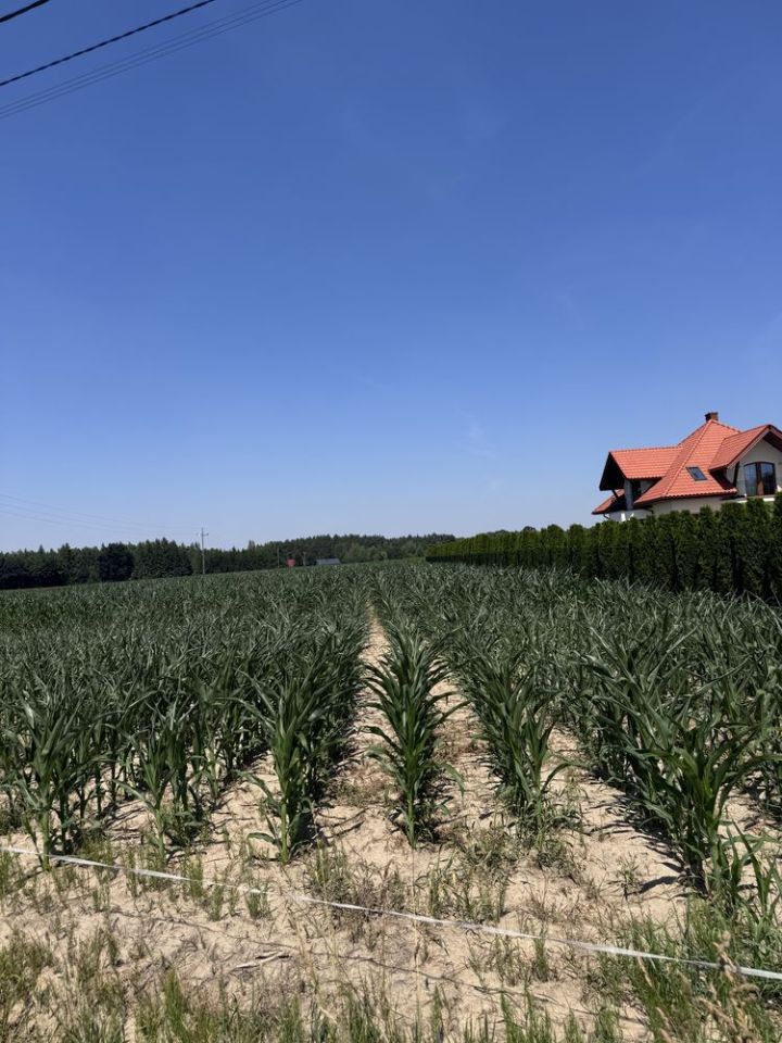 Działka budowlana Wólka Leśna. Zdjęcie 3