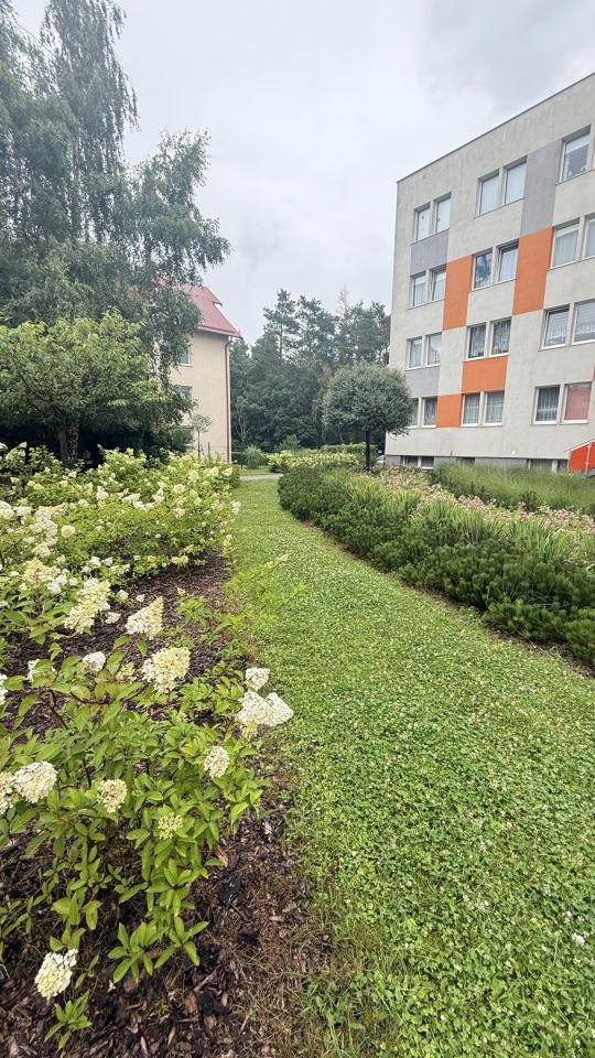 Mieszkanie 2-pokojowe Gdynia Dąbrowa, ul. Sojowa. Zdjęcie 23