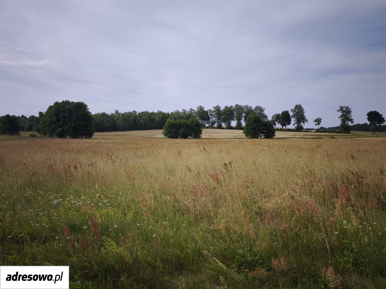 Działka rolno-budowlana Barkowo. Zdjęcie 8