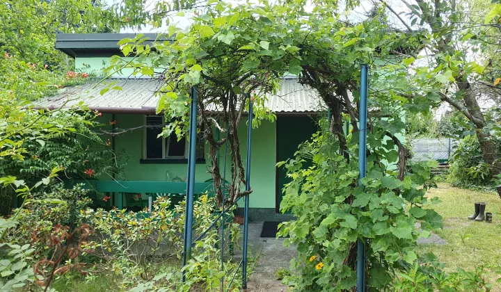 Działka rod Warszawa Wawer, ul. Borowiecka