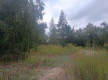 Działka budowlana Paprotnia, ul. Leśna. Zdjęcie 4