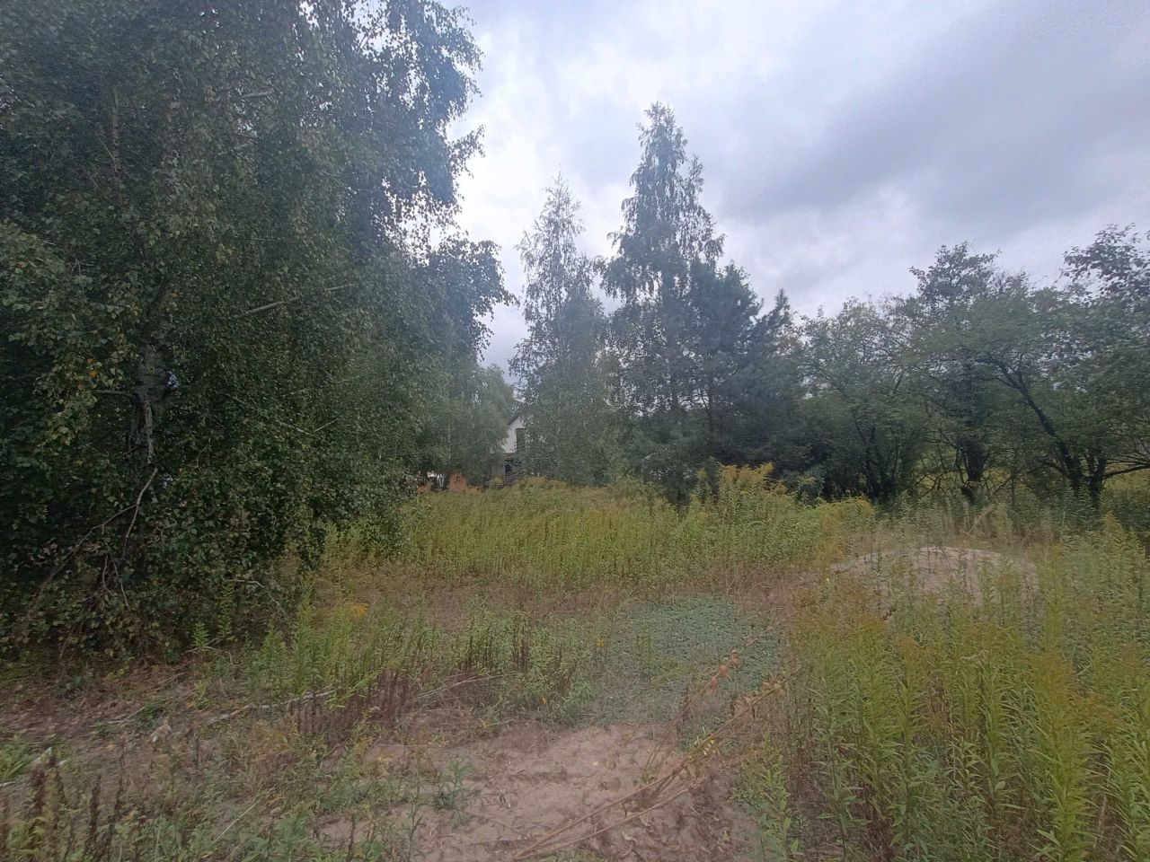 Działka budowlana Paprotnia, ul. Leśna. Zdjęcie 5