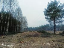 Działka inna Huta. Zdjęcie 3