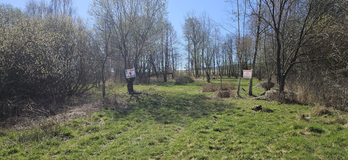 Działka budowlana Stary Wielisław. Zdjęcie 2