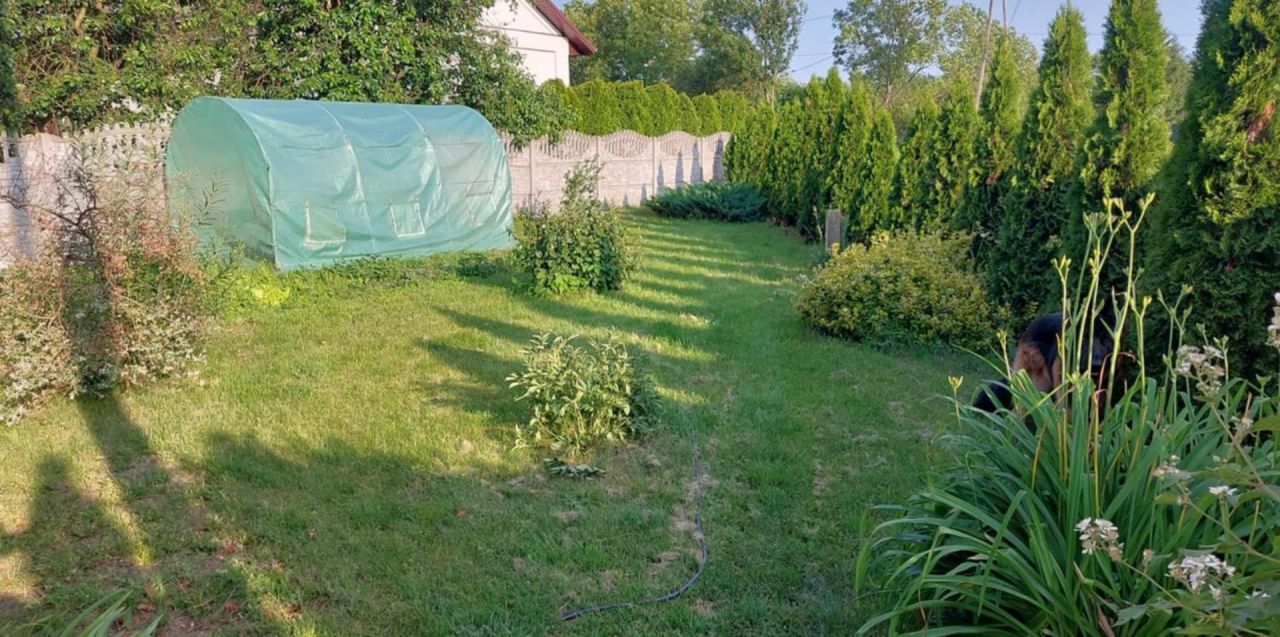 dom wolnostojący, 2 pokoje Kargów. Zdjęcie 3