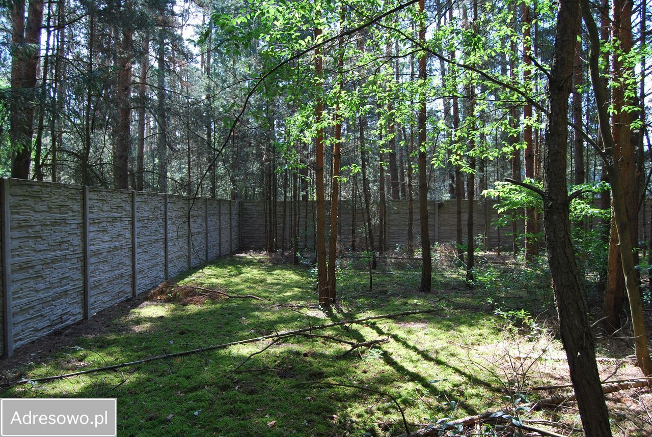 dom wolnostojący, 4 pokoje Wielgie Milickie. Zdjęcie 17