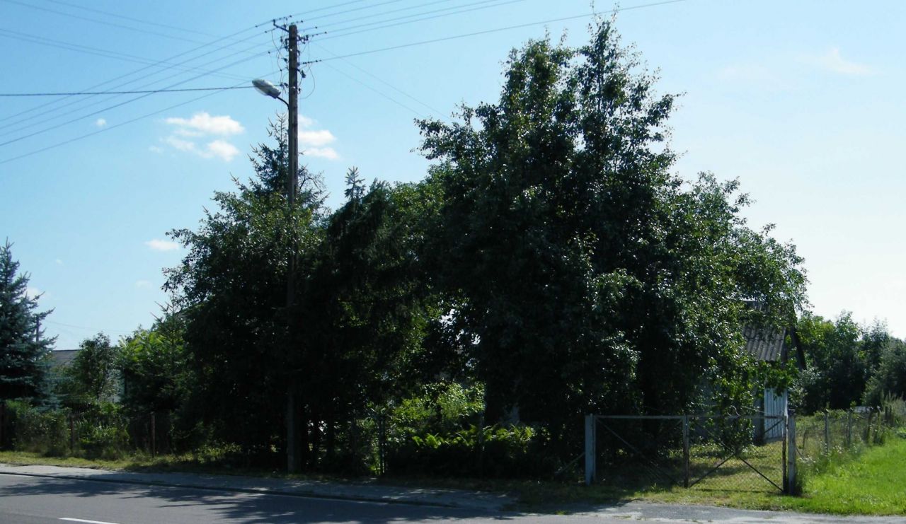 Działka budowlana Okopy. Zdjęcie 7