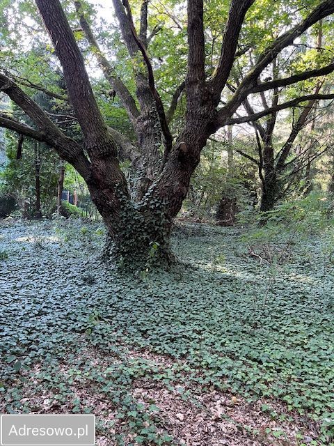 Działka rekreacyjna Popowo-Parcele, ul. Brzozowa. Zdjęcie 6