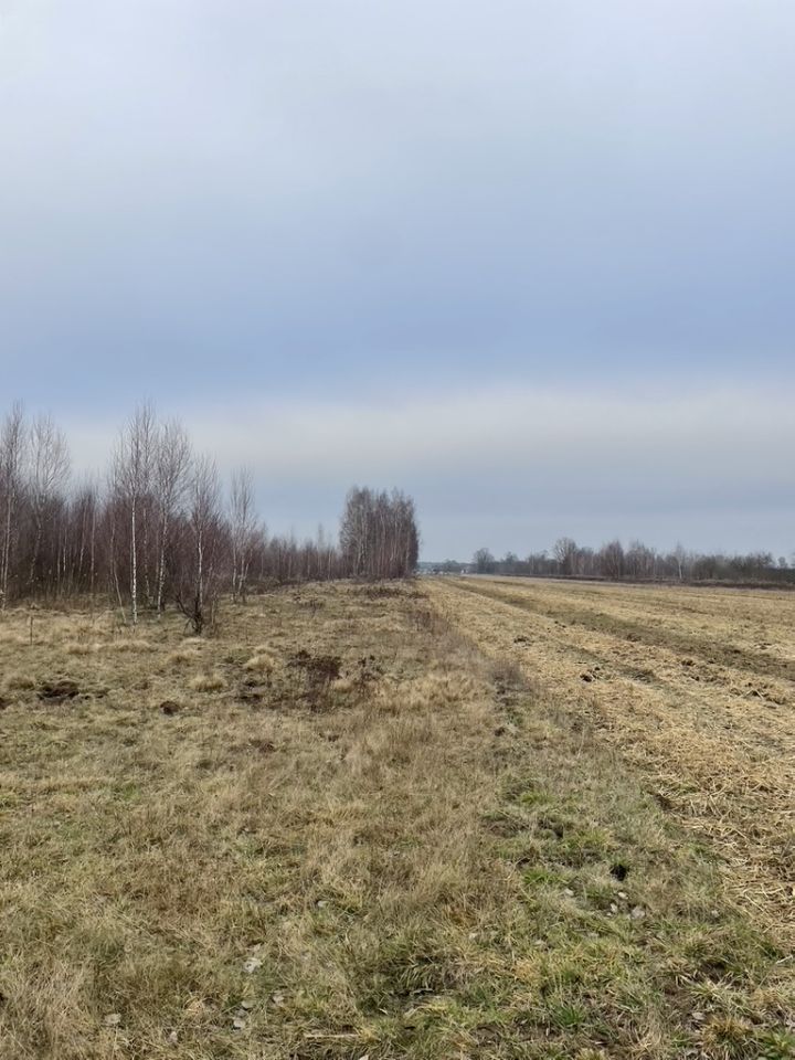 Działka budowlana Wólka Czosnowska, ul. Wojska Polskiego. Zdjęcie 7
