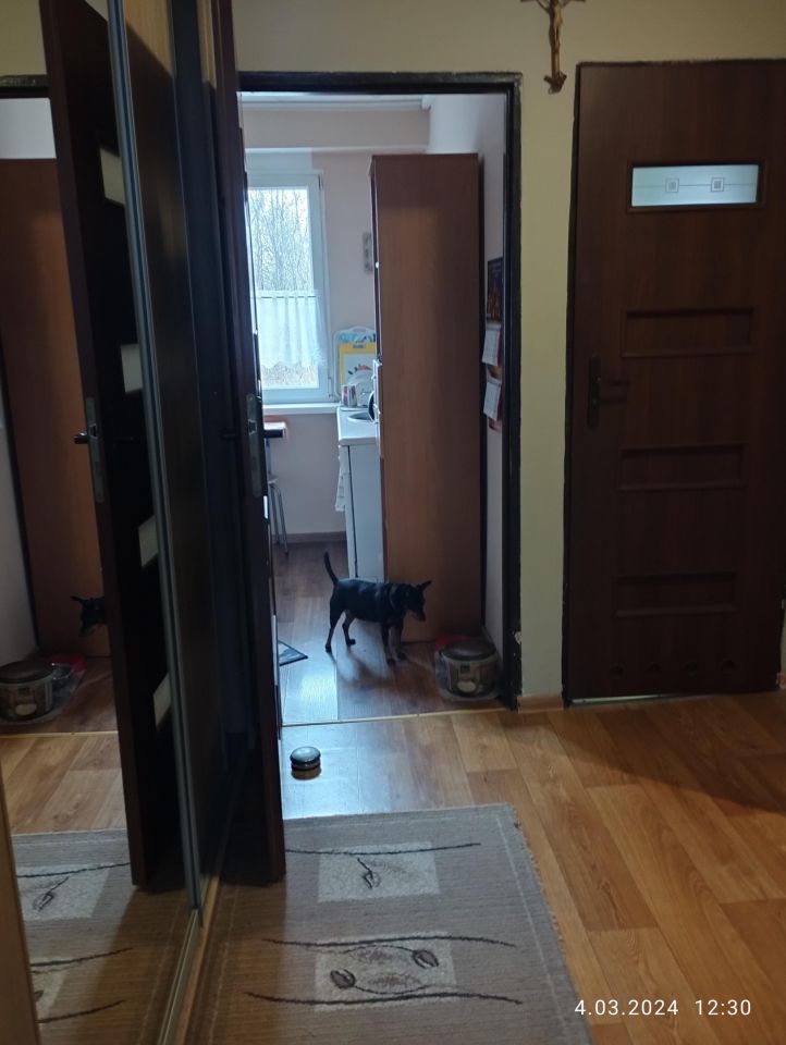 Mieszkanie 2-pokojowe Bytom Śródmieście, ul. Małgorzatki. Zdjęcie 7