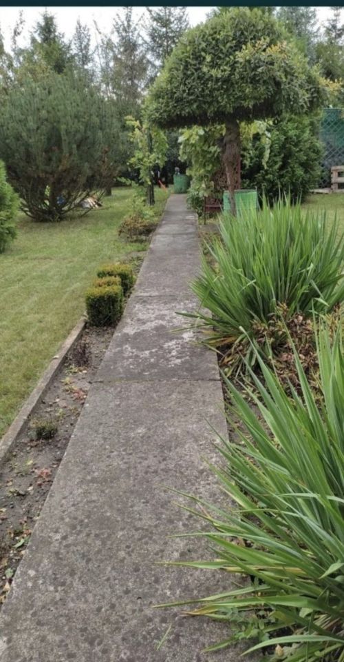 Działka rod Tczew. Zdjęcie 5