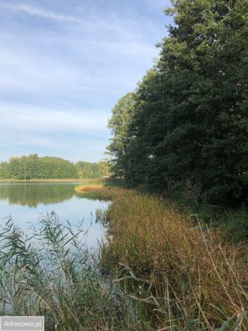 Działka budowlana Łąkie. Zdjęcie 1