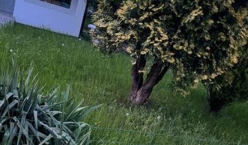 Działka rod Łódź Górna, ul. gen. Jarosława Dąbrowskiego