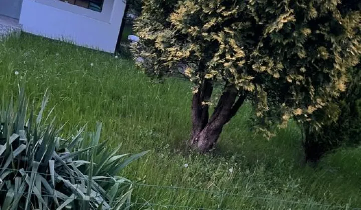 Działka rod Łódź Górna, ul. gen. Jarosława Dąbrowskiego