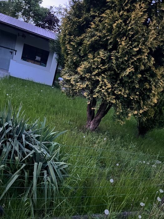 Działka rod Łódź Górna, ul. gen. Jarosława Dąbrowskiego