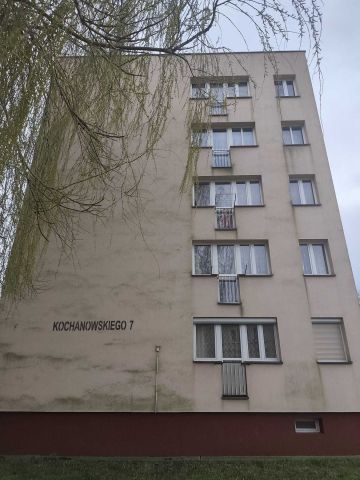 Mieszkanie 1-pokojowe Leśna, ul. Jana Kochanowskiego. Zdjęcie 1