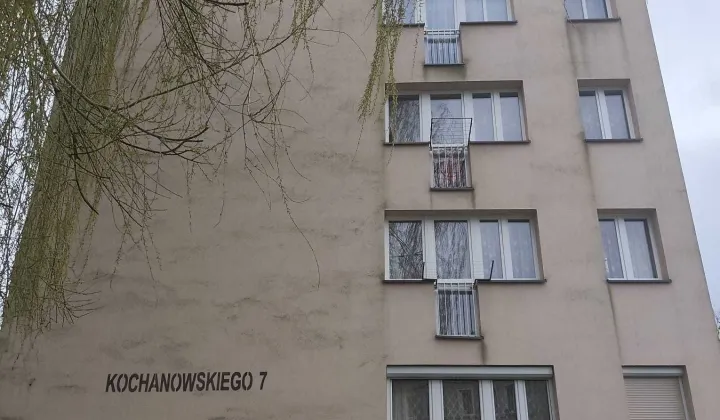 Mieszkanie 1-pokojowe Leśna, ul. Jana Kochanowskiego