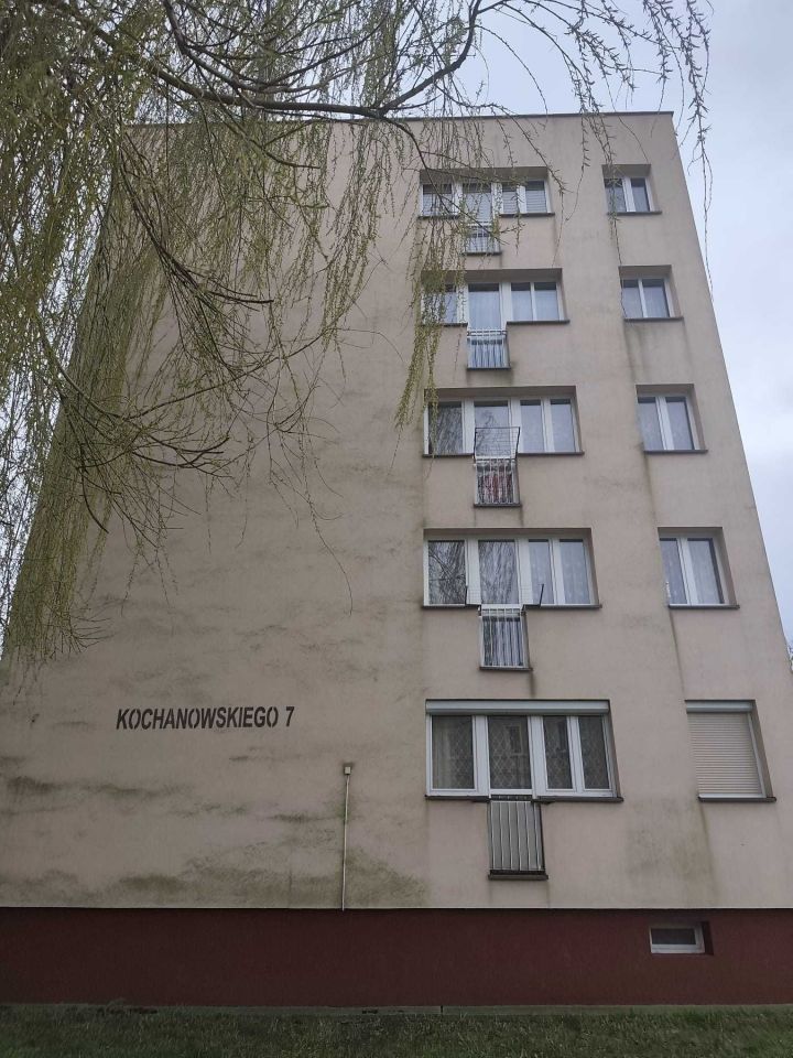 Mieszkanie 1-pokojowe Leśna, ul. Jana Kochanowskiego. Zdjęcie 1