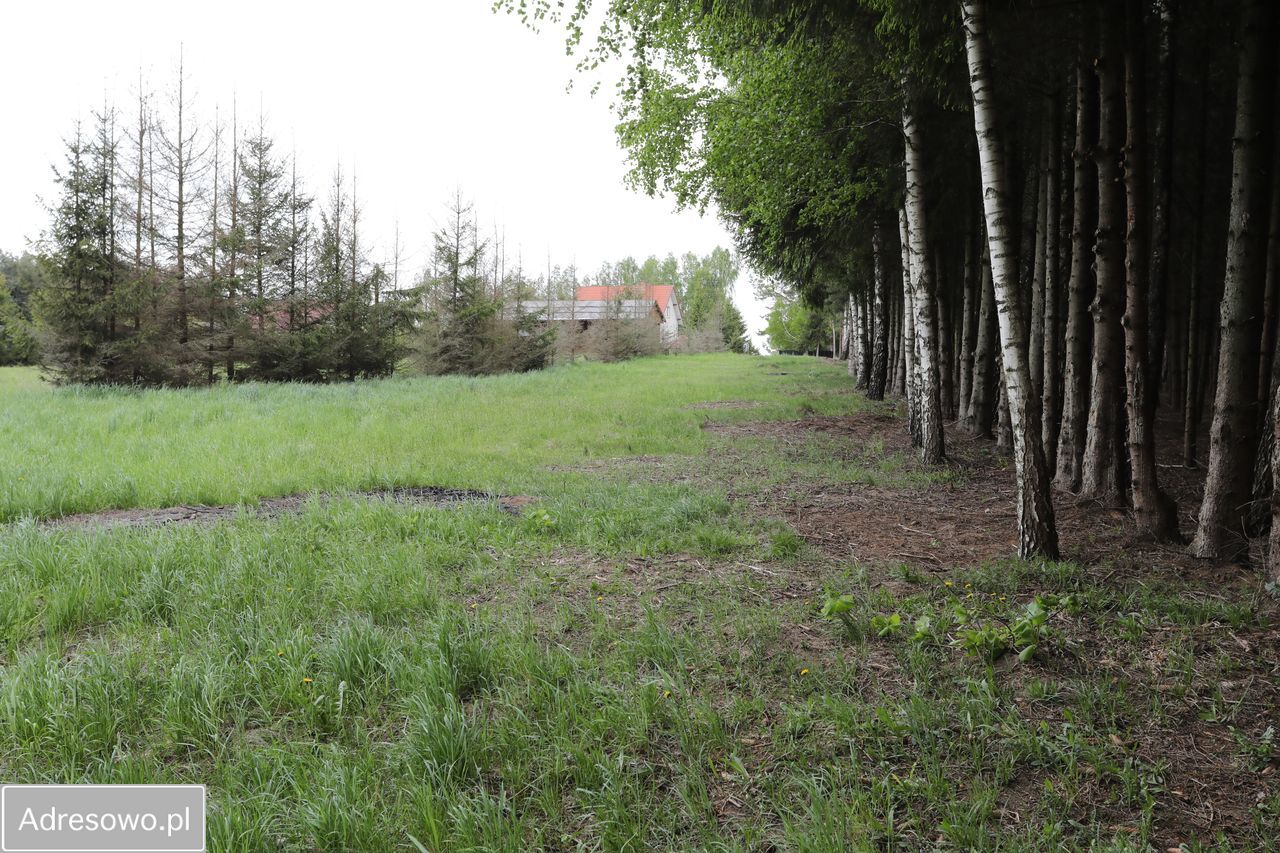 Działka budowlana Ławki. Zdjęcie 13