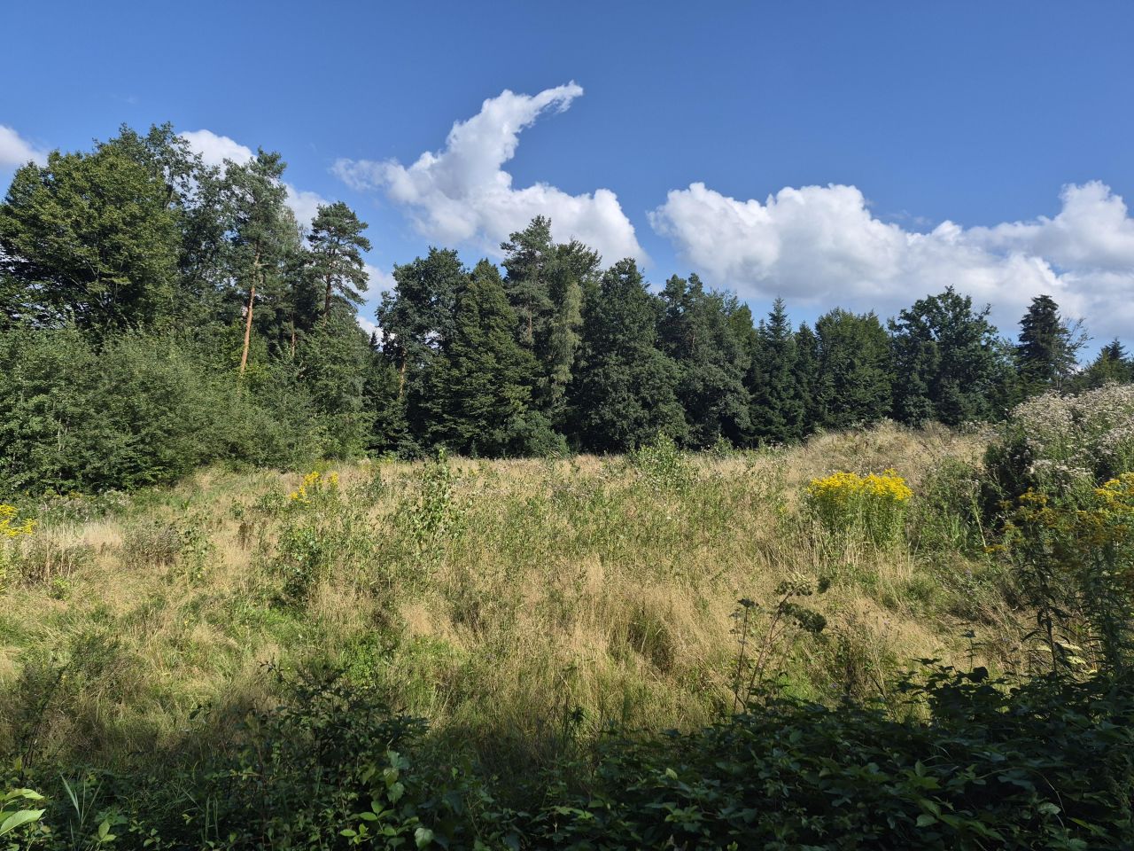 Działka budowlana Kipszna. Zdjęcie 5