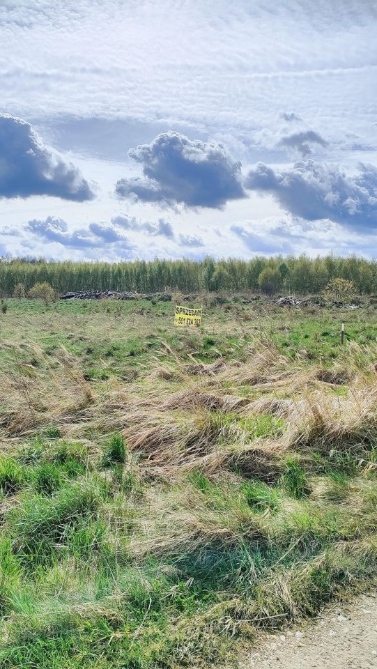 Działka rolno-budowlana Radomsko Stobiecko Miejskie, ul. Częstochowska. Zdjęcie 7