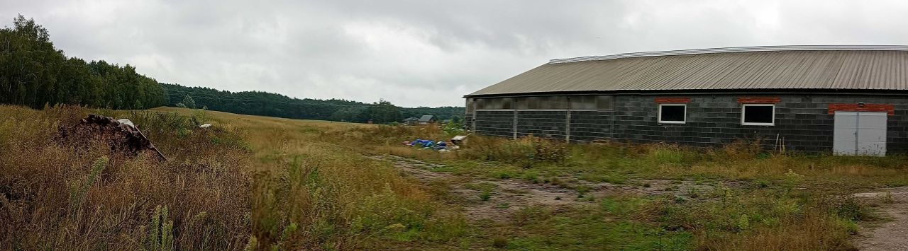 Hala/magazyn Glinno. Zdjęcie 5