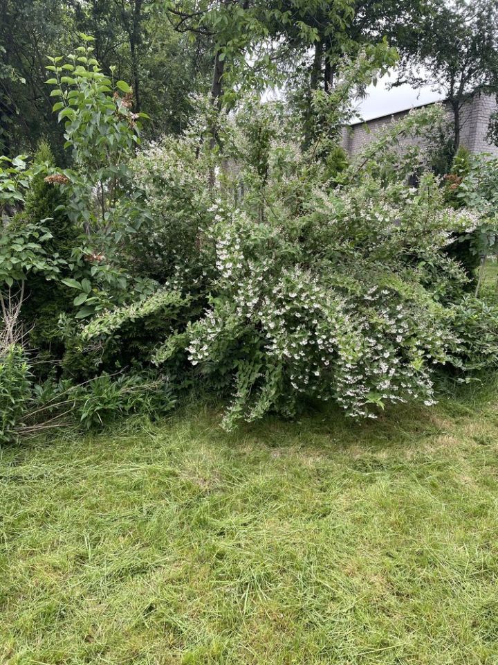 Działka rod Lublin. Zdjęcie 2