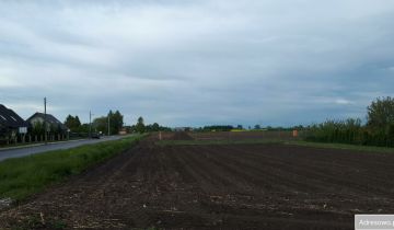 Działka siedliskowa Sieciechów