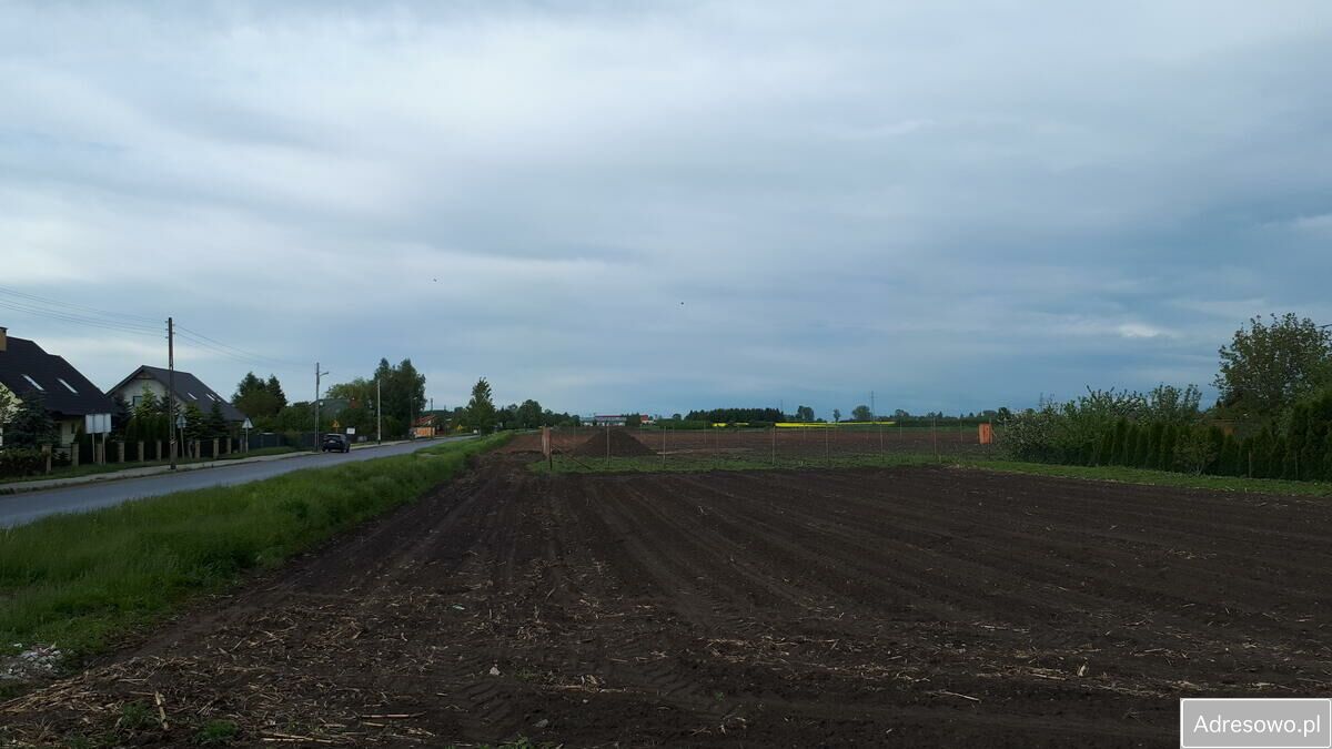 Działka siedliskowa Sieciechów. Zdjęcie 2