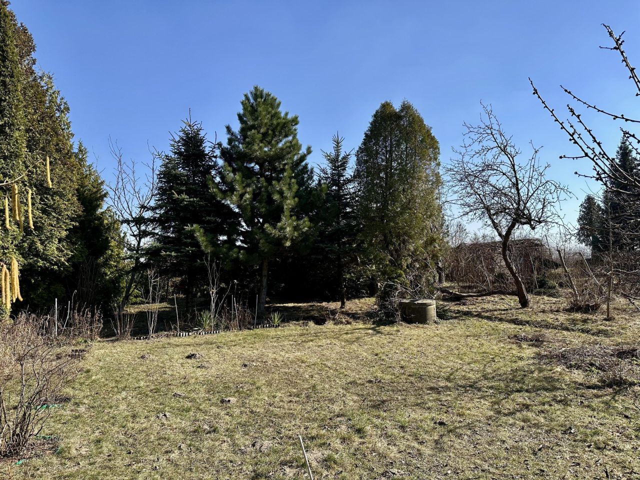 Działka rod Warszawa Włochy, ul. Ogrodników. Zdjęcie 5