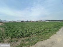 Działka inwestycyjna Robakowo. Zdjęcie 3