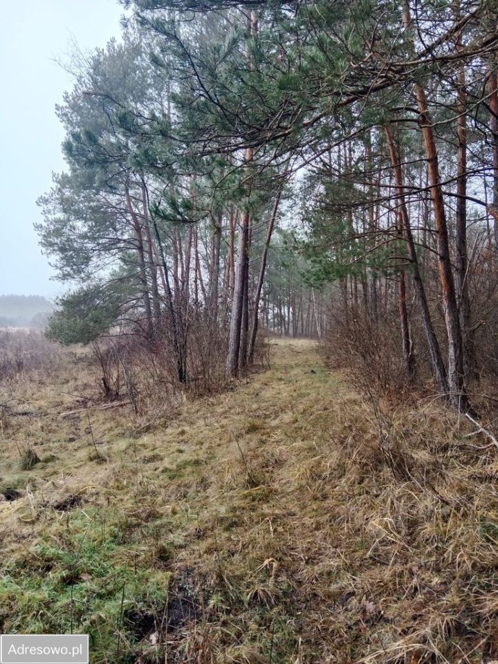 Działka rekreacyjna Bizoręda. Zdjęcie 1