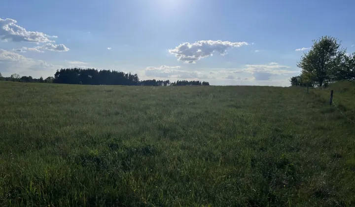 Działka budowlana Wólka