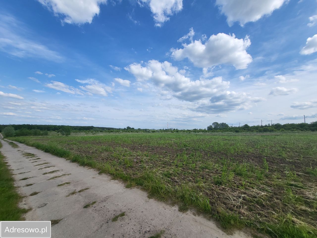 Działka rekreacyjna Poznań Naramowice. Zdjęcie 7