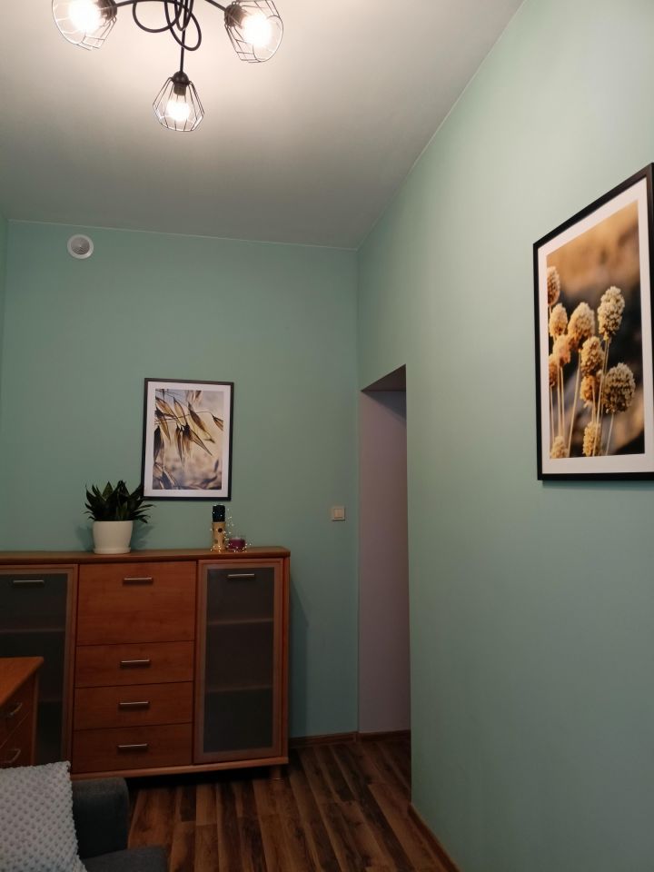 Mieszkanie 1-pokojowe Łódź Śródmieście, ul. Prezydenta Gabriela Narutowicza. Zdjęcie 5