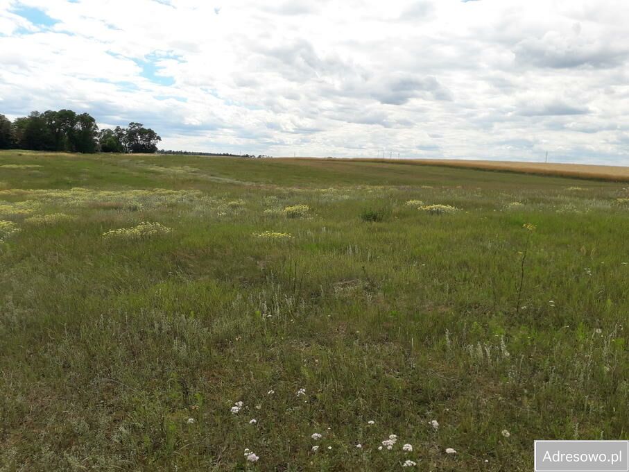 Działka budowlana Żakowo. Zdjęcie 6