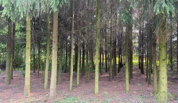 Działka budowlana Garwolin, ul. Wiejska