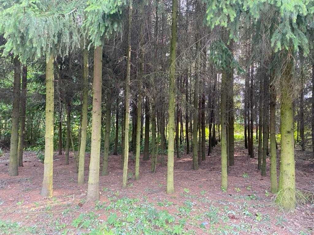 Działka budowlana Garwolin, ul. Wiejska