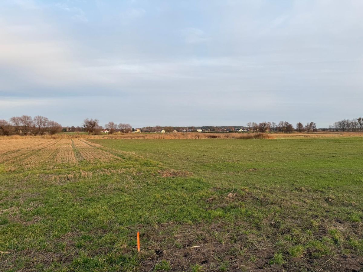 Działka rolna Oleśniczka. Zdjęcie 8