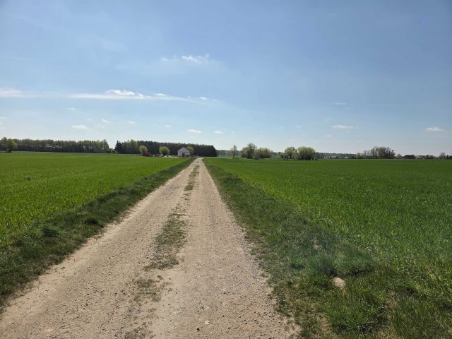 Działka budowlana Studzieniec. Zdjęcie 1