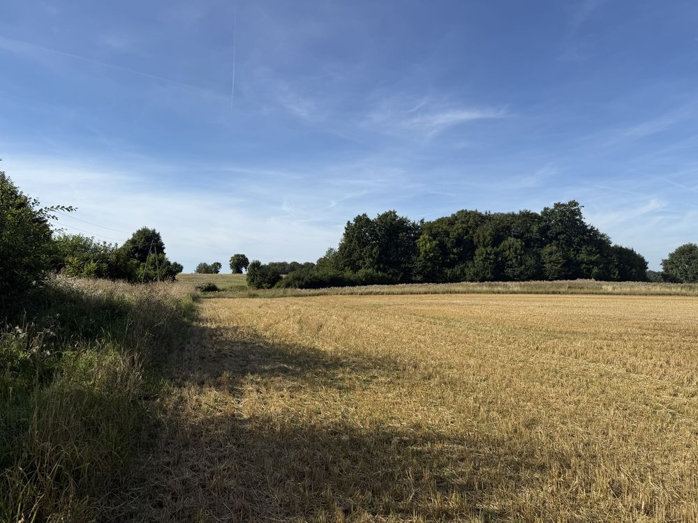 Działka budowlana Będzino. Zdjęcie 2