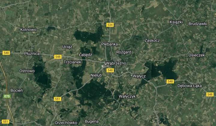 Lokal Wąbrzeźno, ul. Chełmińska