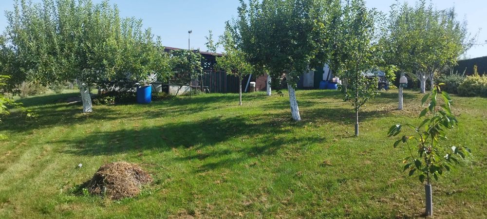 Działka rod Prudnik. Zdjęcie 2