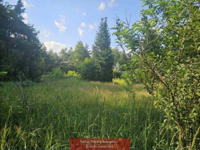 Działka budowlana Sosnówka. Zdjęcie 2