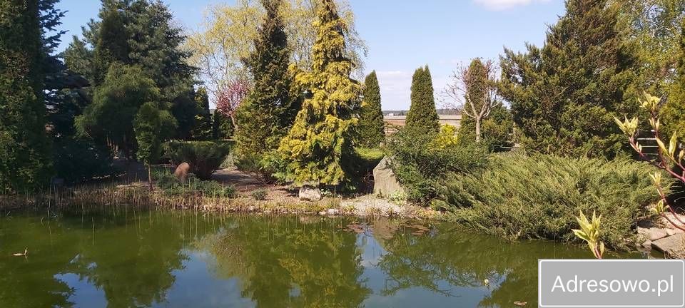 dom wolnostojący, 4 pokoje Kleszczyna. Zdjęcie 8