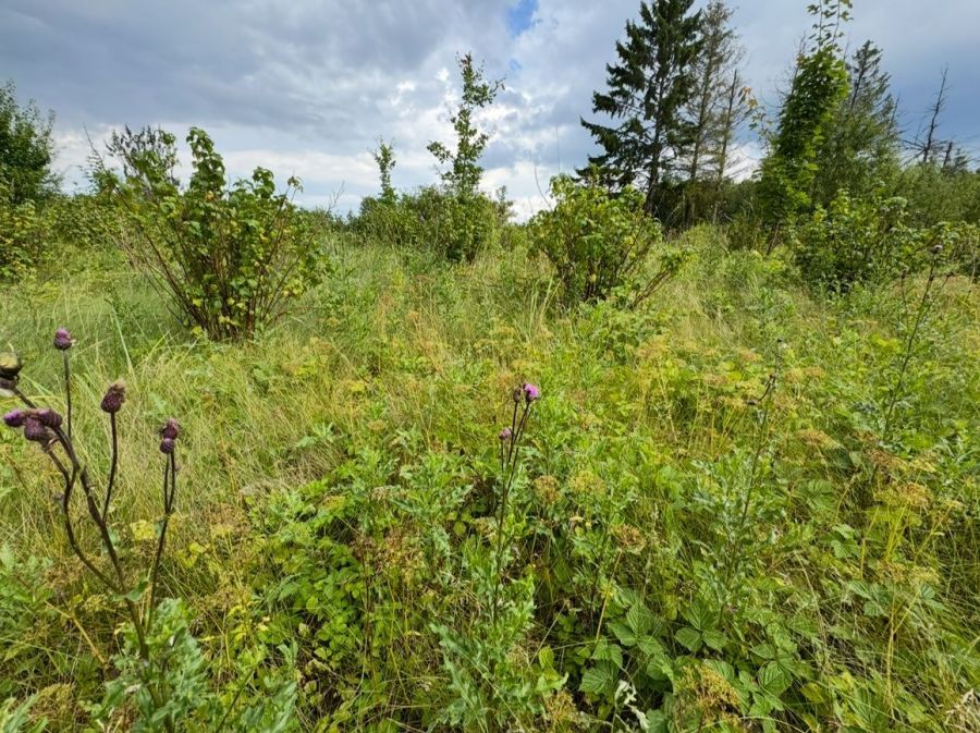 Działka budowlana Łapalice, os. Grabowiny. Zdjęcie 7