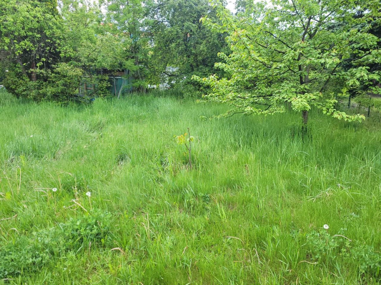 Działka rekreacyjna Wrocław Krzyki, ul. Bardzka. Zdjęcie 2