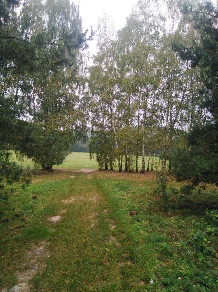 Działka rekreacyjna Złoty Potok, ul. mjr. Wrzoska. Zdjęcie 3