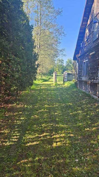 siedlisko Paplin. Zdjęcie 5